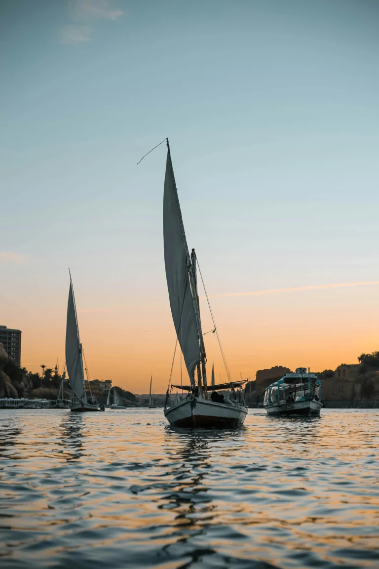 Sea Serenity A tranquil coastline with gentle waves and golden sunlight.