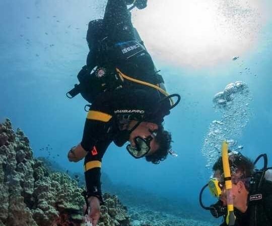 Overnight to Cairo from Sharm El Sheikh