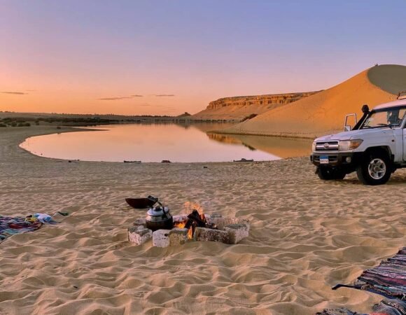 Fayoum Oasis Day Trip from Cairo – Guide & Itinerary