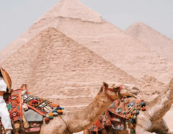 Half-Day Tour to the Pyramids of Giza