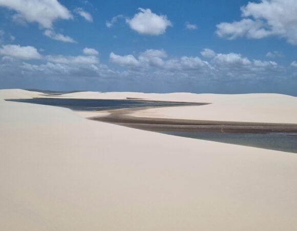 Desert Tour to Fayoum Oasis from Cairo