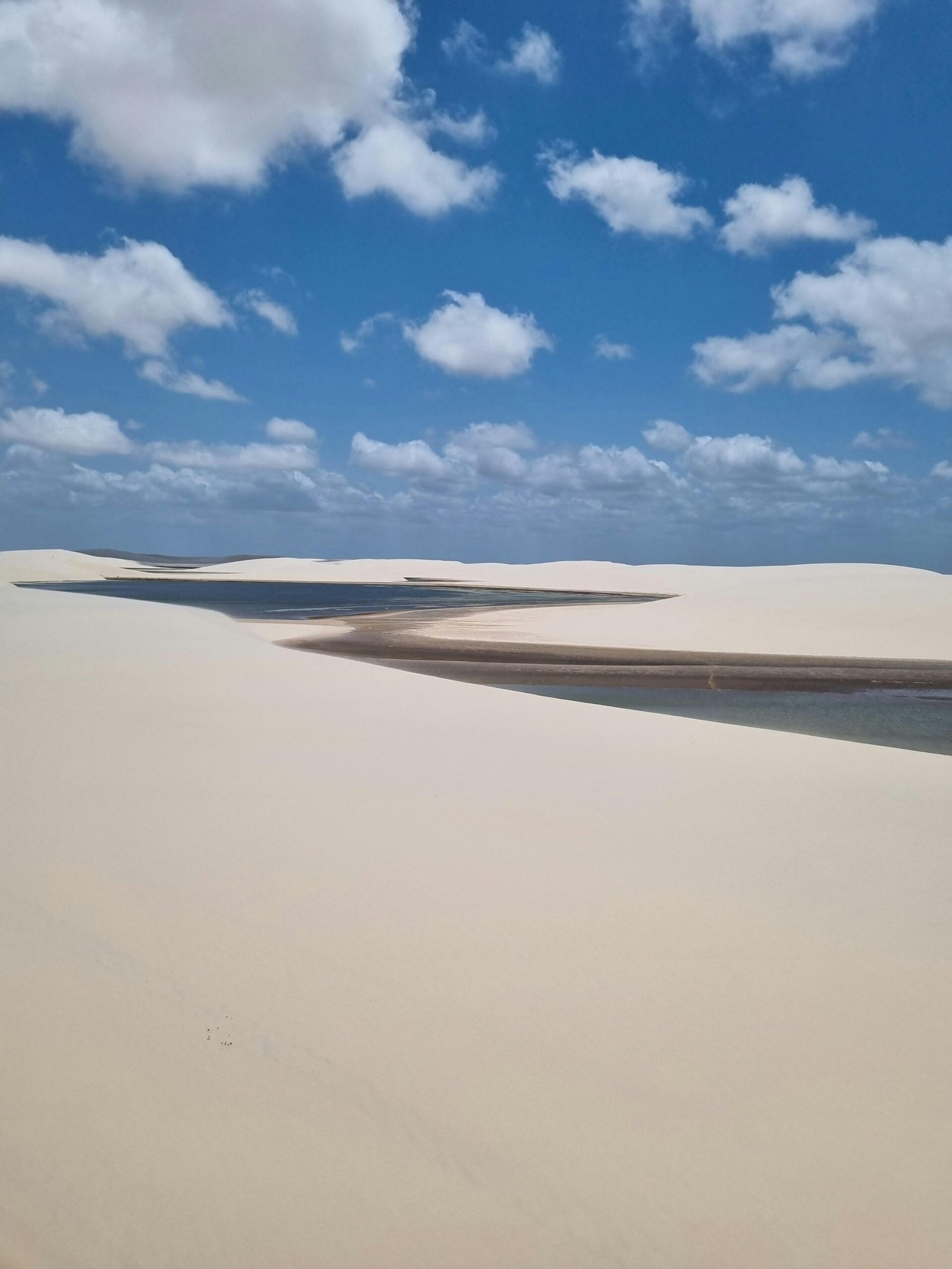 Desert Tour to Fayoum Oasis from Cairo