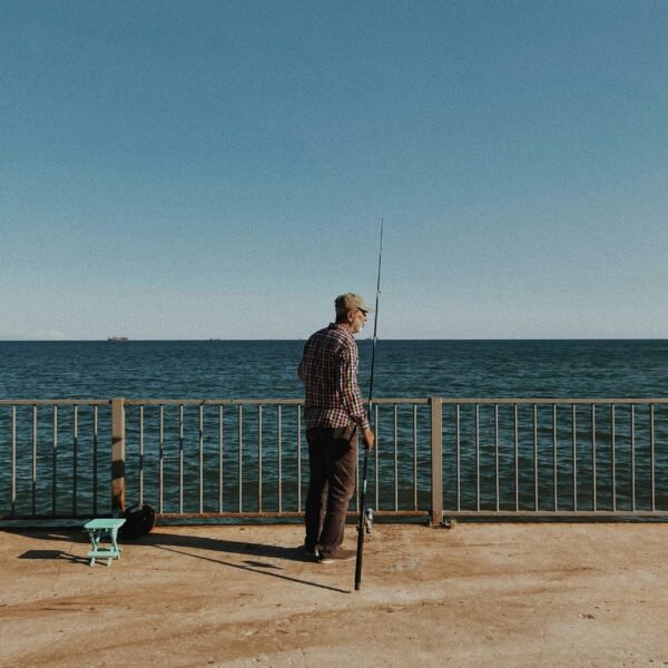 alex Egypt tourist attractions high quality